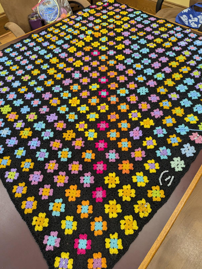 Temperature crochet afghan www.dlstewart.com