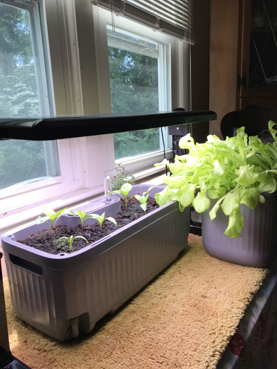 Vego Garden plant boxes
