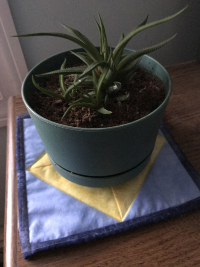 Plant Mat with dragonfly print